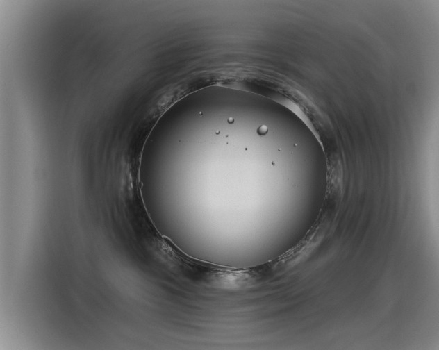 X0000115250333200911061224