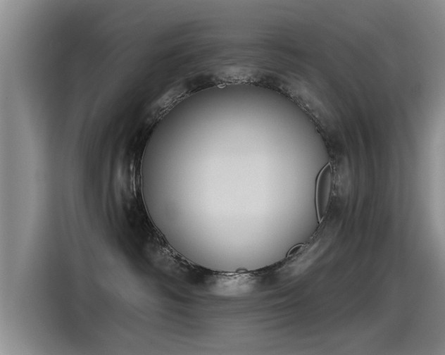 X0000115250334200911061224