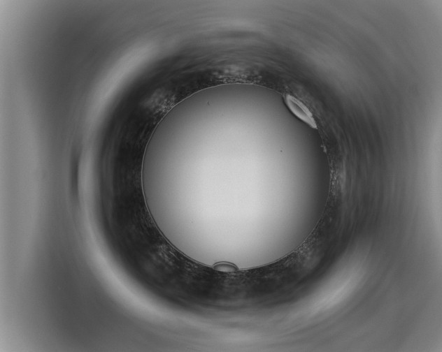 X0000115250335200911061223