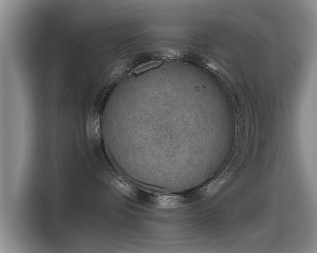 X0000115250336200911061223