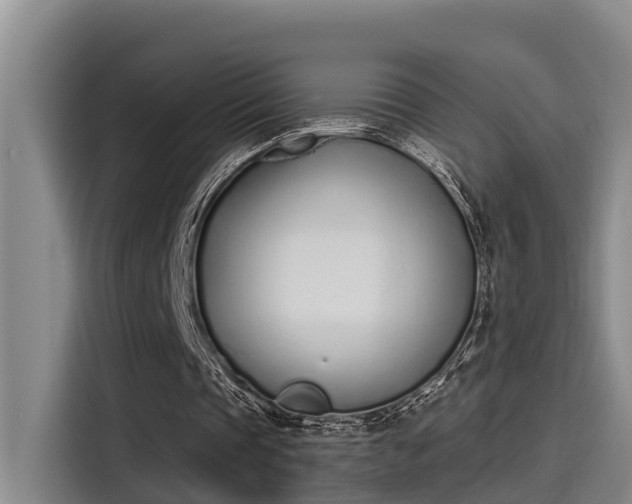 X0000115250337200911061223