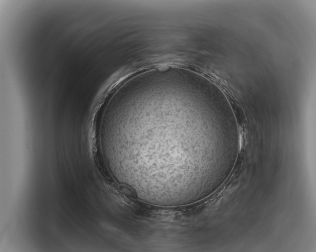 X0000115250339200911061223