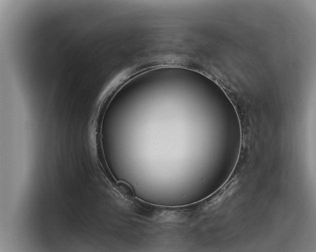 X0000115250341200911061223
