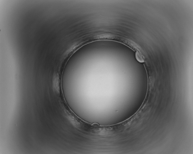 X0000115250345200911061223