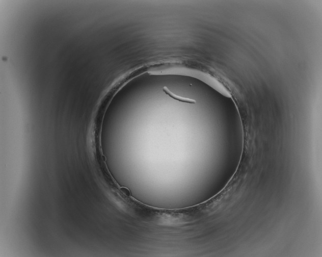 X0000115250346200911061223