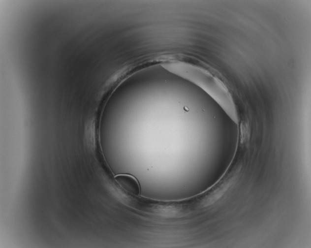 X0000115250349200911061223