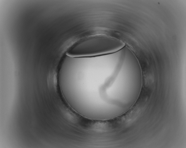 X0000115250350200911061223