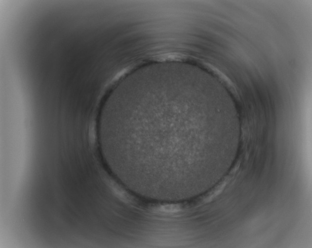 X0000115250353200911061223