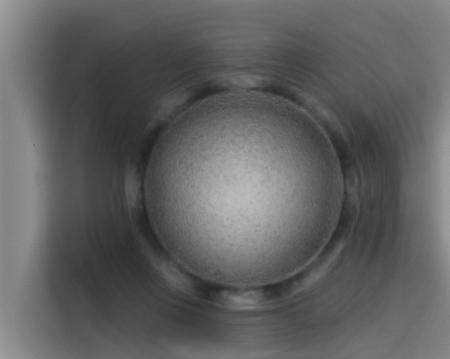 X0000115250359200911061223