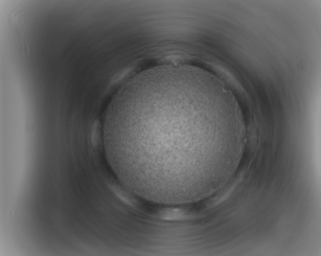 X0000115250361200911061223