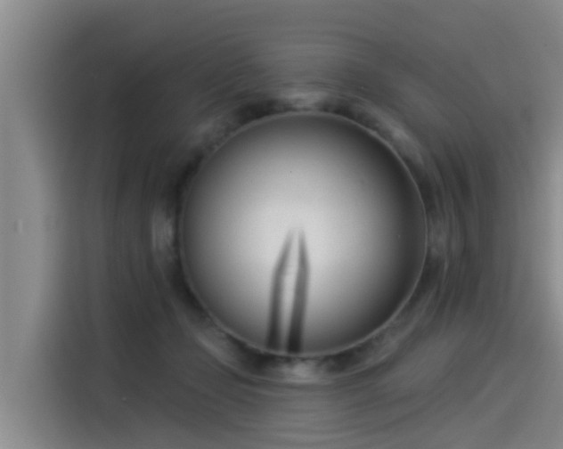 X0000115250365200911061223