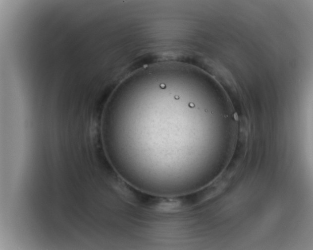 X0000115250369200911061223