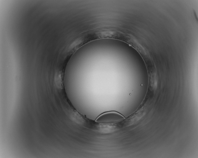 X0000115250378200911061223