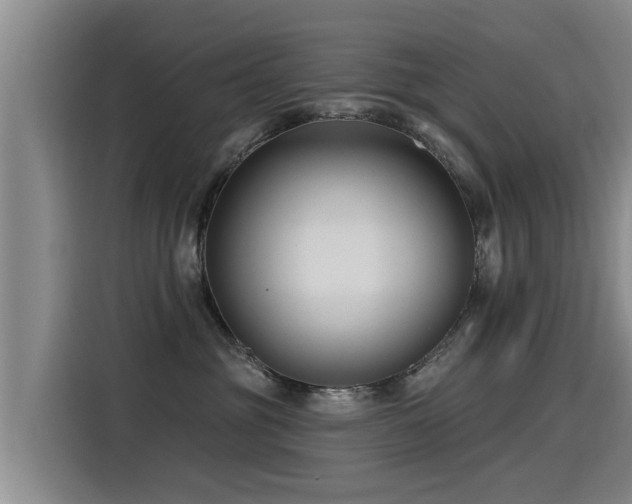 X0000115250381200911061223