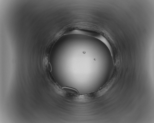 X0000115250382200911061223