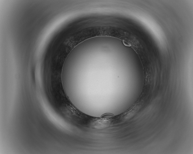 X0000115250383200911061223
