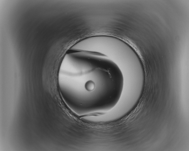 X0000115250385200911061223