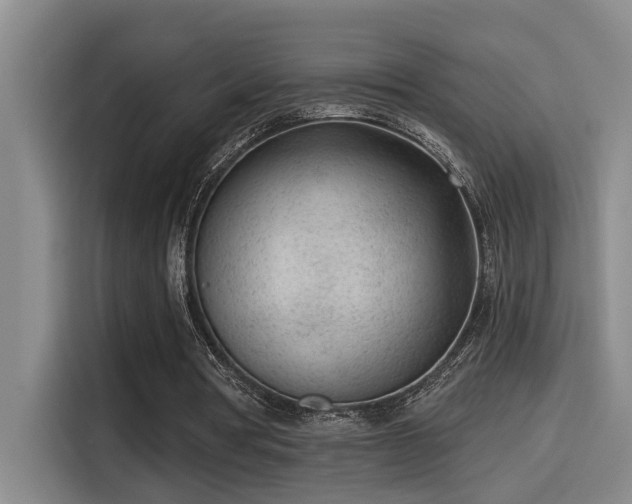 X0000115250386200911061223