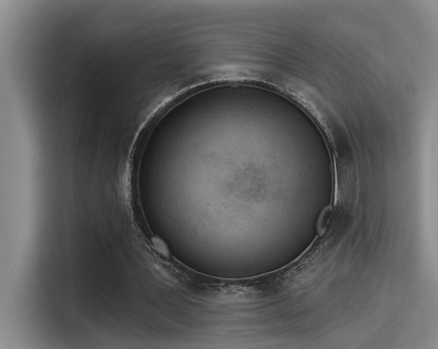 X0000115250387200911061223