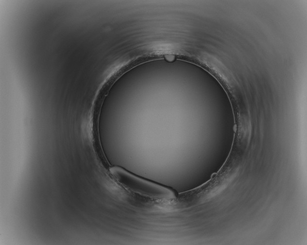 X0000115250391200911061223