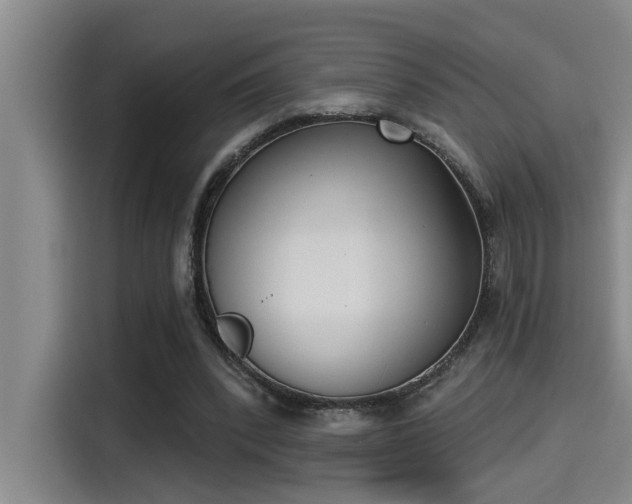 X0000115250392200911061223