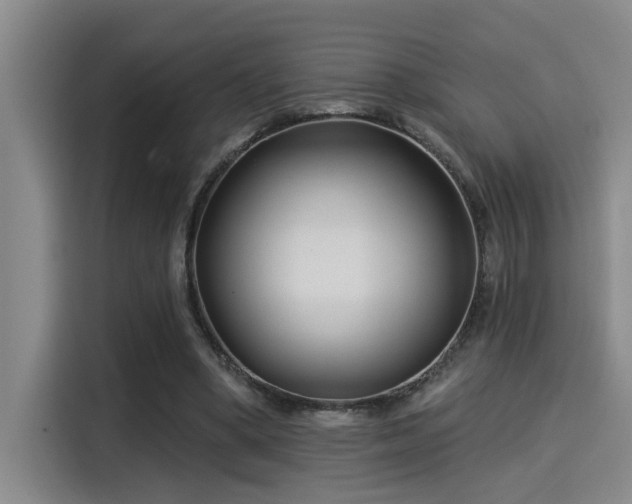 X0000115250394200911061223