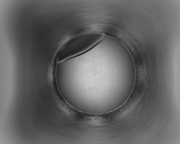 X0000115250395200911061223