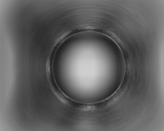 X0000115250398200911061223