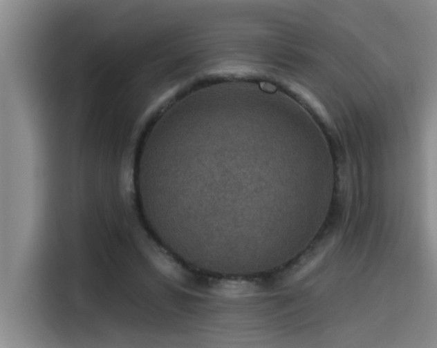 X0000115250399200911061222