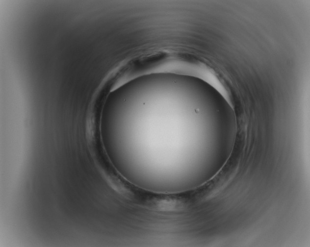 X0000115250400200911061222