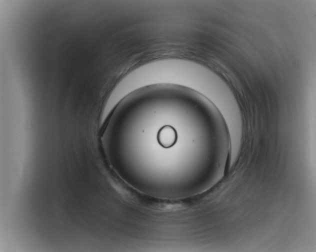 X0000115250401200911061222
