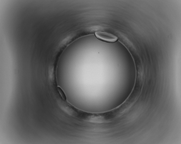 X0000115250403200911061222