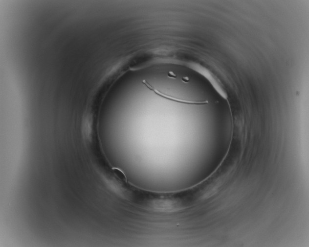 X0000115250404200911061222