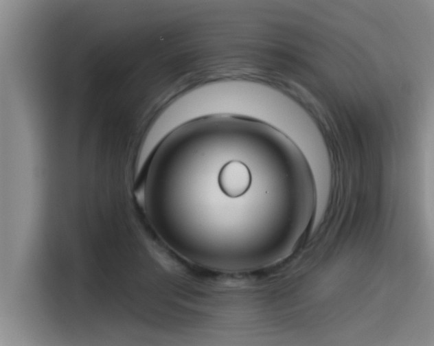 X0000115250405200911061222