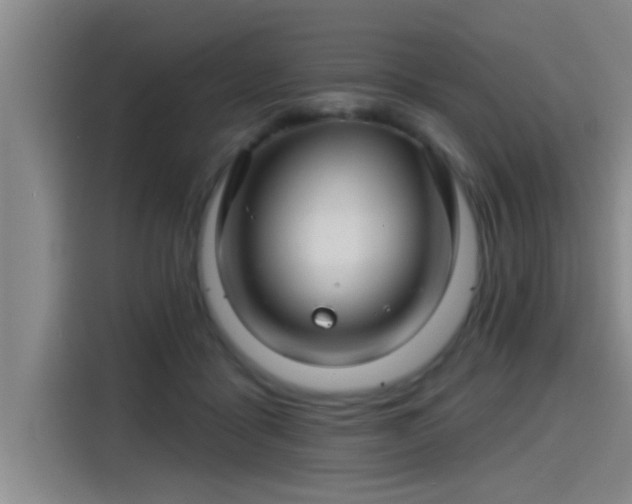 X0000115250411200911061222