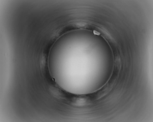 X0000115250412200911061222