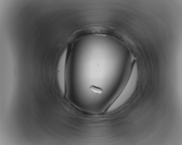 X0000115250413200911061222