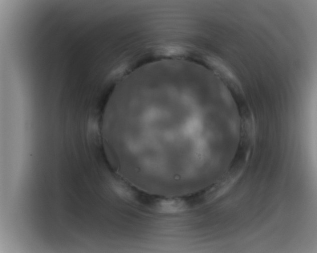 X0000115250415200911061222