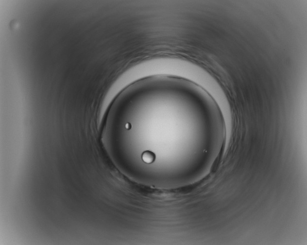 X0000115250419200911061222