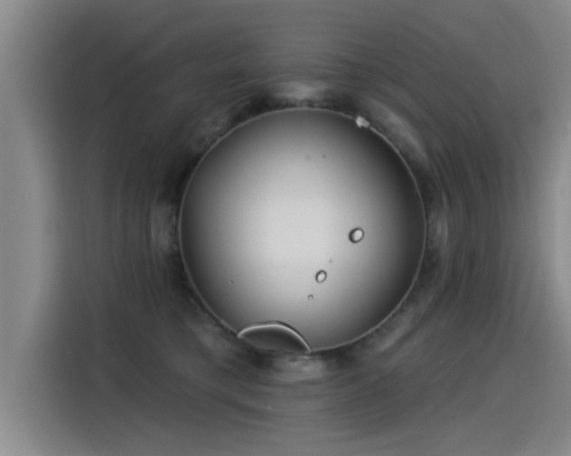 X0000115250421200911061222
