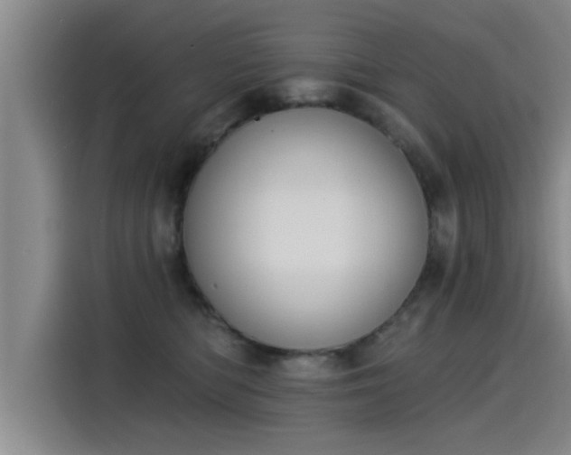 X0000115250422200911061222