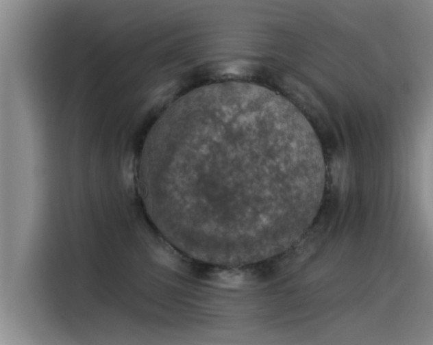 X0000115250423200911061222