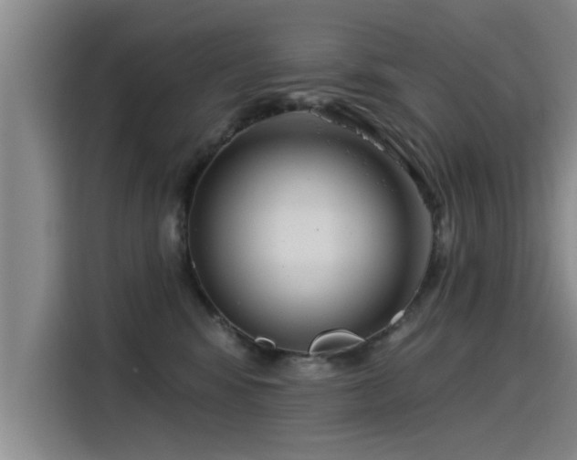 X0000115250424200911061222