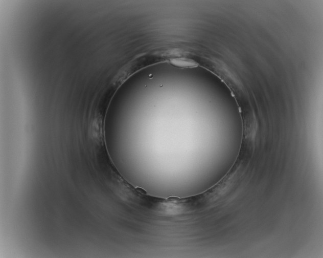 X0000115250425200911061222