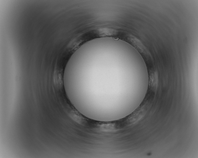 X0000115250426200911061222