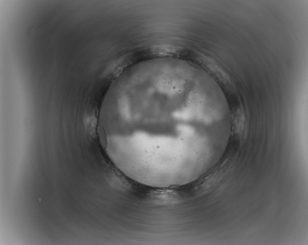 X0000115250427200911061222