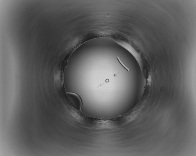 X0000115250428200911061222
