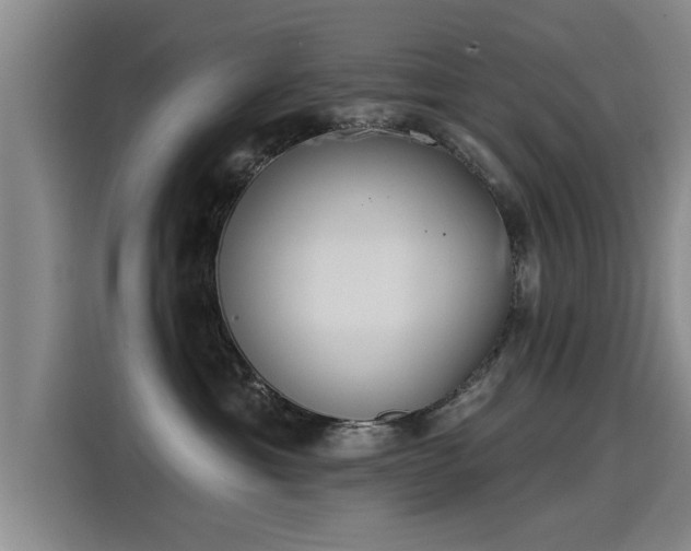 X0000115250429200911061222