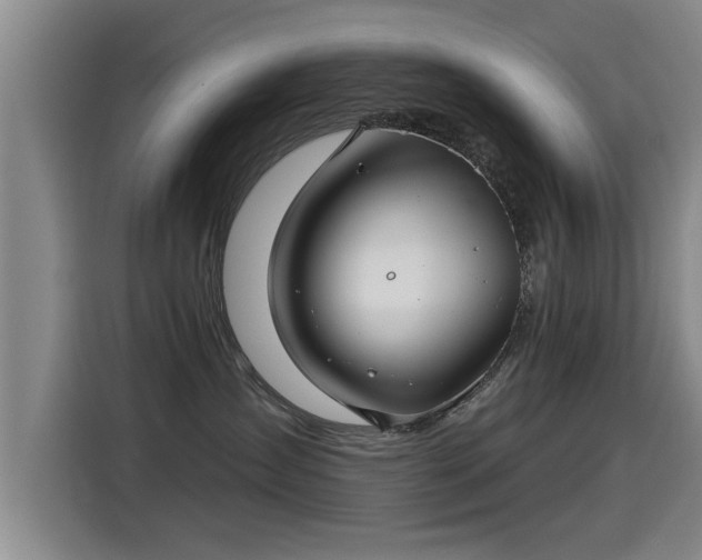 X0000115250431200911061222