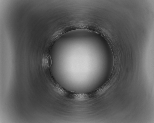 X0000115250432200911061222